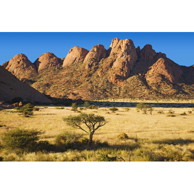 Rock Formations With Deserts Grass by LucynaKoch - Wrapped Canvas Print