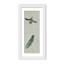 Nature Inspired "Vivid Flutter" Canvas Wall Art By -417407279-417407314-423896714
