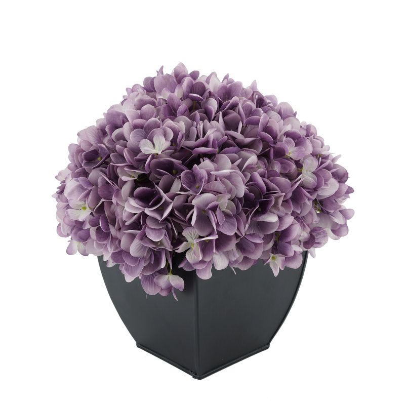 Arrangement floral hortensia en pot, Lavande