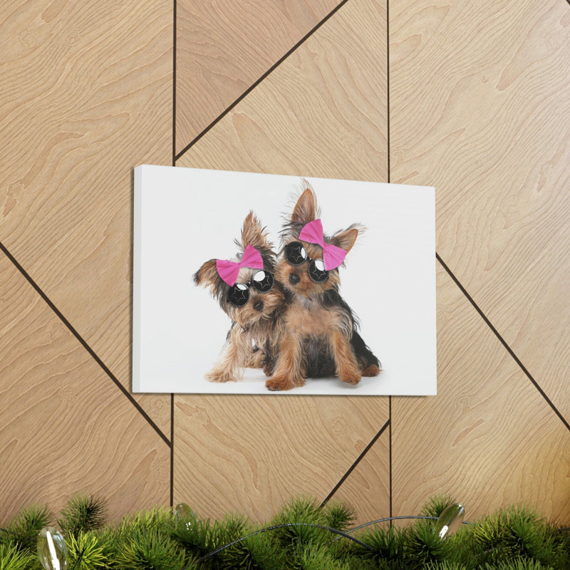 Drôle de Yorkshire Terrier, H 12 po x l 18 po