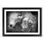 Two Snuggling Lions - Picture Frame Painting Print-55606137-55606142
