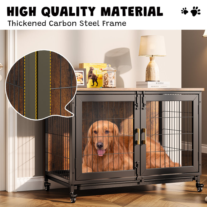 Dog House