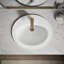 Pennington Ceramic Oval Drop-In Bathroom Sink with Overflow-10940201-19195582