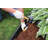 Master Mark Plus Coiled Edging 4.5 in. x 20 ft.