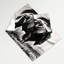 Tapisserie murale Wildlife Bison-133633814