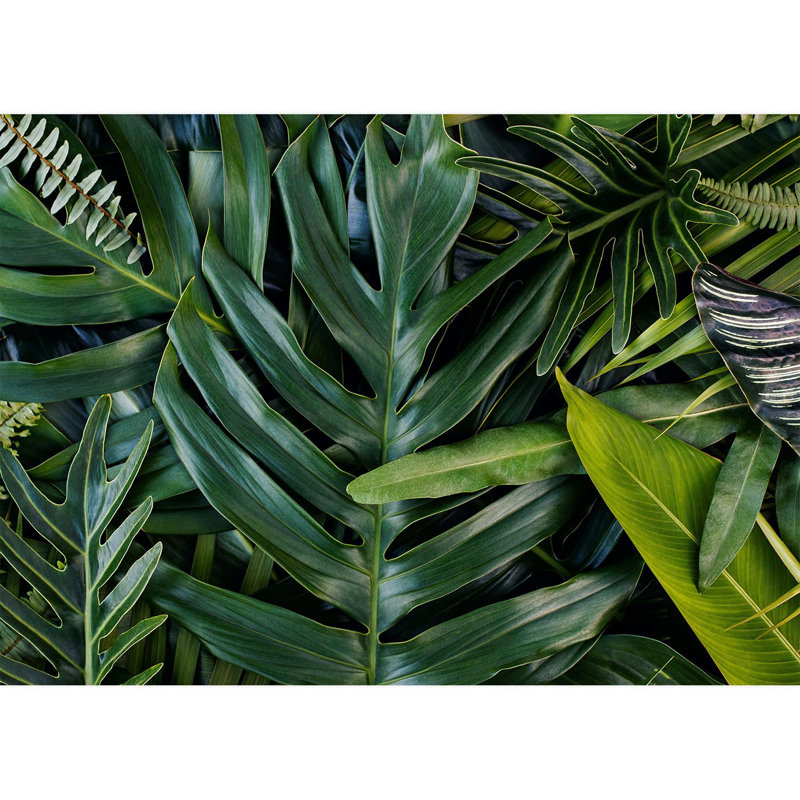 Peel & Stick Floral Border, 120" L x 168" W