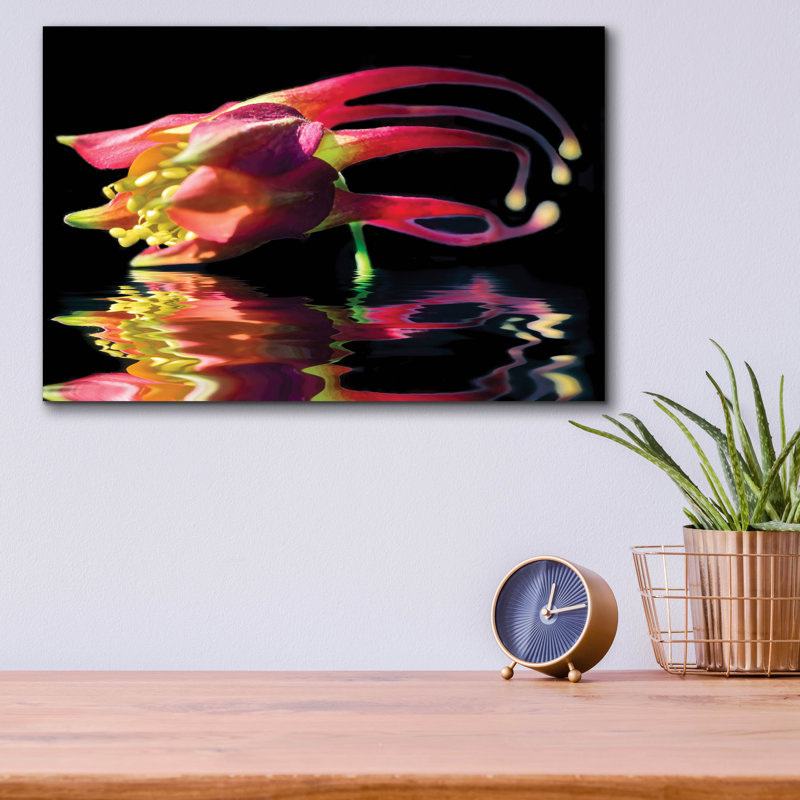 «Columbine Reflection» par Pamela Plummer, H 12 po x l 16 po x P 0,13 po