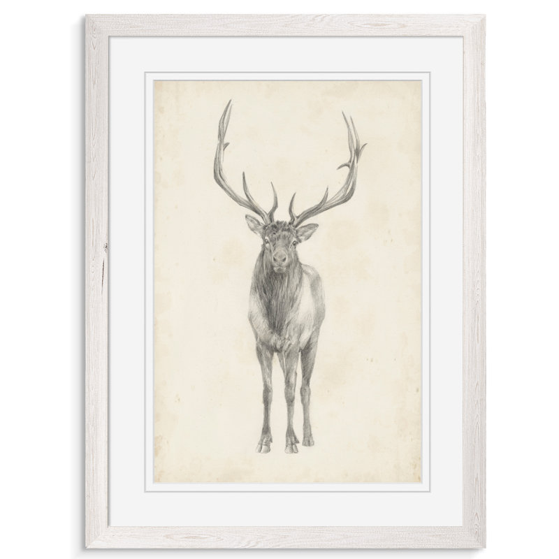 " Elk Study " by Paul Cezanne, 30" H x 22" W x 1.25" D, White Paper Framed