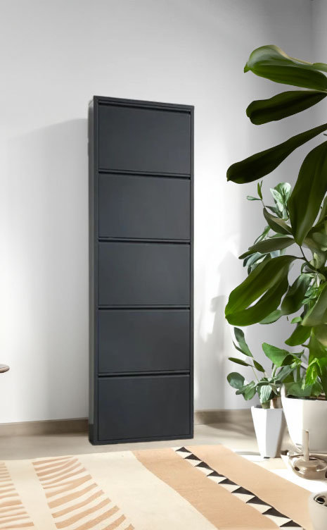 15 Pair Shoe Storage Cabinet, Black