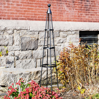 Mckayla 61'' H x 13'' W Iron Obelisk Trellis
