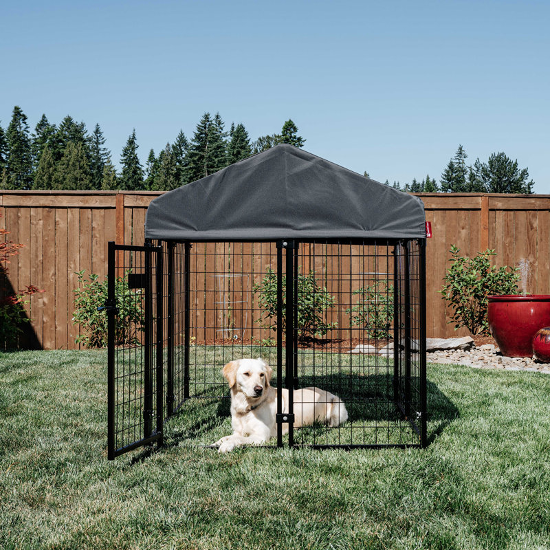 Chenils de la série Lucky Dog Stay, H 52 po x l 48 po x P 48 po, Gris acier