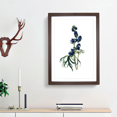 Wolfsbane Flowers Illustration - Picture Frame Painting Print
