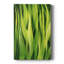 «Blades of Grass I», reproduction sur toile tendue-1641811406
