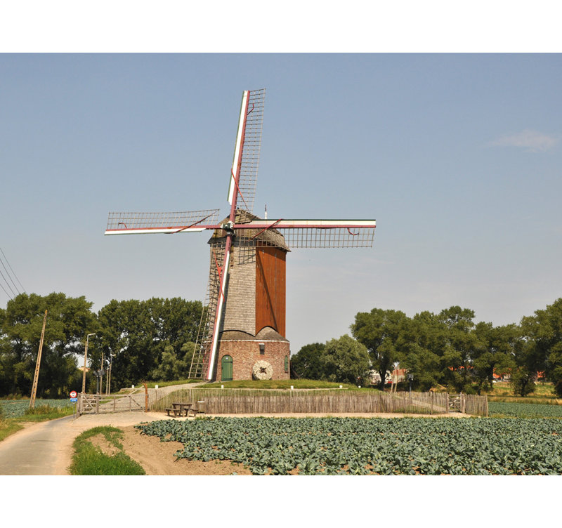Moulin à vent en Belgique, H 18 po x l 24 po