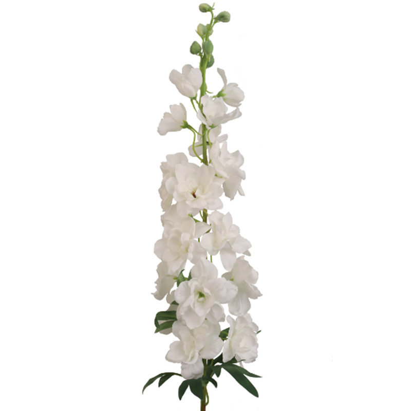 Silk Delphinium Arrangement