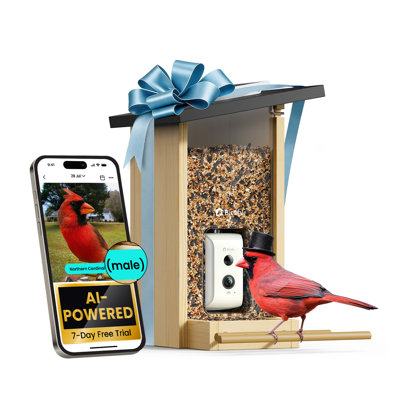 Birdfy Smart Bird Feeder with Camera, Bird Watching Camera with Solar Panel, AI Identify 6000+ Species, Eco-friendly Wooden, Ideal Gift, Ebony