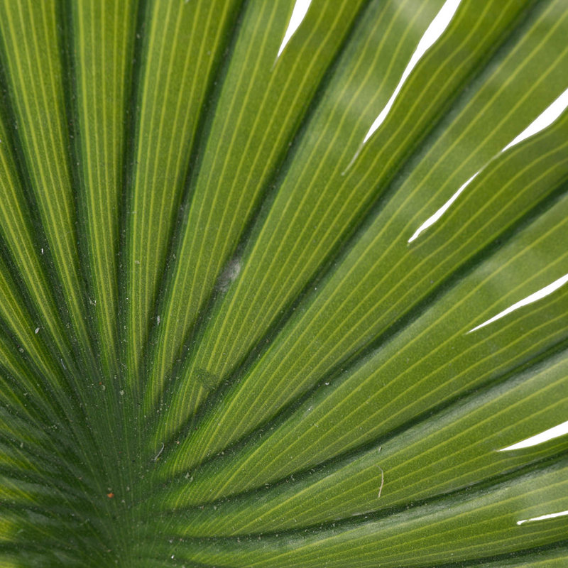 Tige de palmier Zana, Vert foncé