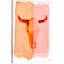 Parvez Taj - Wrapped Canvas Print-16674019