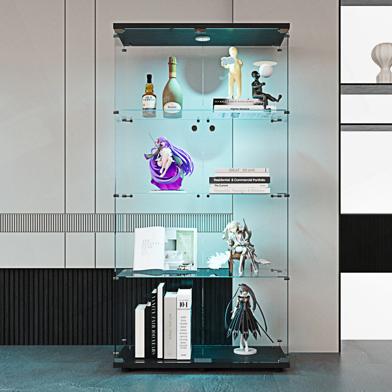 Armoire d'entrée, vitrine à deux lumières à DEL et bibliothèque au sol, Noir