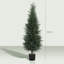 120cm Faux Cypress Plant in Plastic / Acrylic Pot