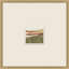 Desert Mauve 1 Print by Mat Sanders