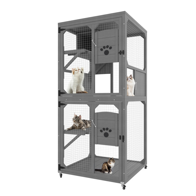 Fenêtre pour chat Catio