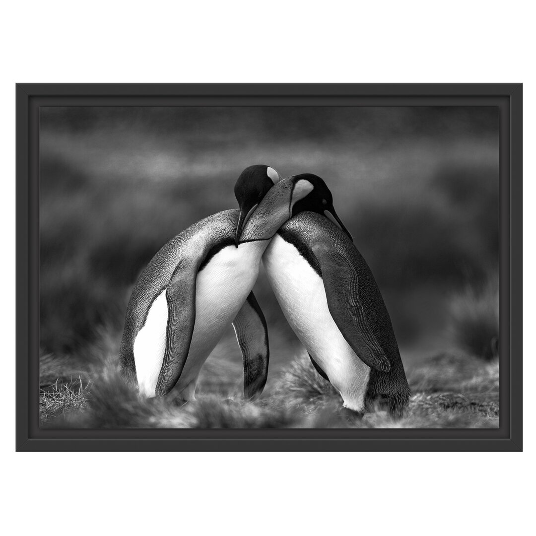 Gerahmtes Wandbild Pinguine in der Antarktis