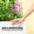 Stylish Planter Box,Raised Garden Bed,Vegetable Box-25409638