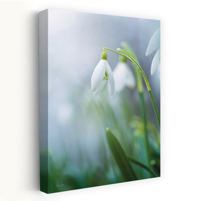 A Snowdrop's Tale Contemporary Flower Art