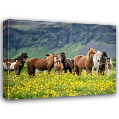 Red Barrel Studio® Burchett, P.H. Art sur toile tendue avec galerie, titre: Chevaux Islandais VII