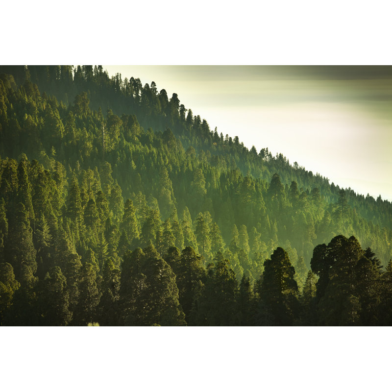 Sierra Nevada Mountains par Pgiam, H 24 po x l 36 po