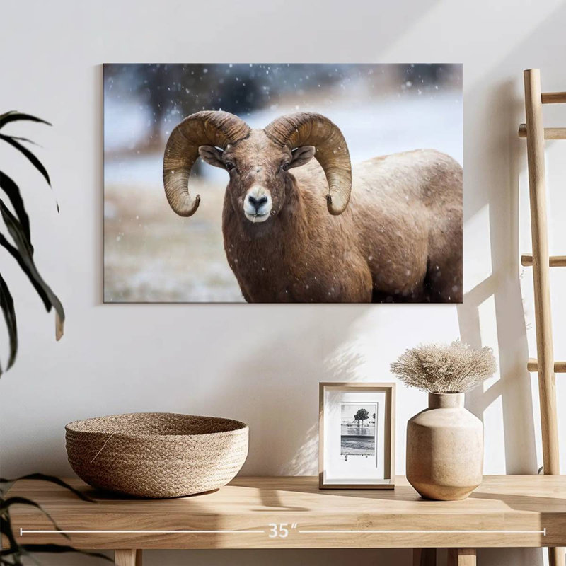Brampt Bighorn Sheep, H 16 po x l 24 po