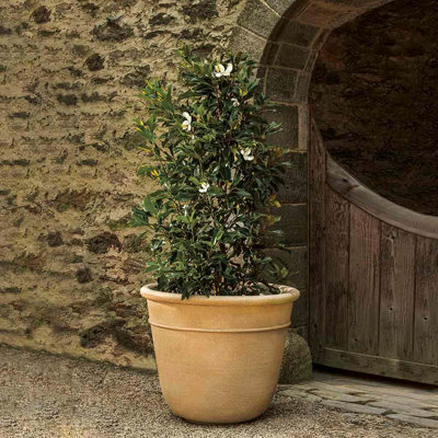 Jardinière Carema, XLG