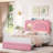 Upholstered Storage Standard Bed with LED Lights-375811285-376155822