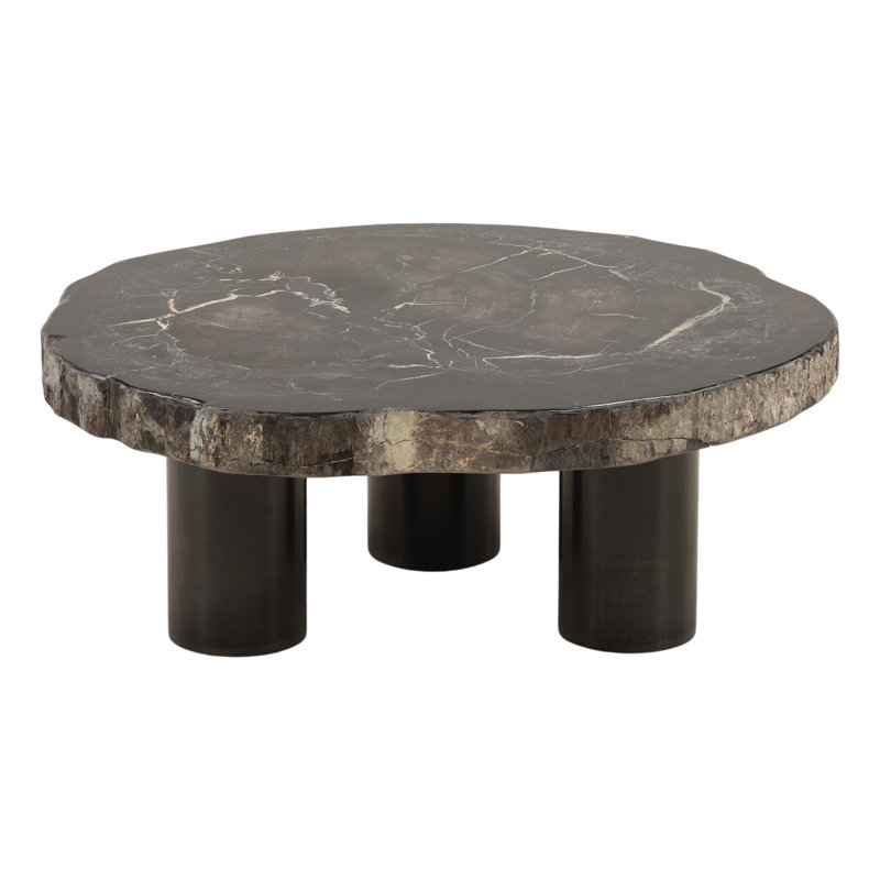 Table basse Darnell Petrified, H 12 po x L 31 po x l 31 po