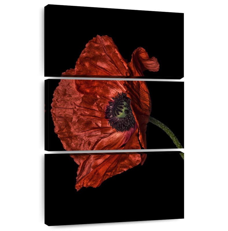 Harnek Curious Collections Poppy Red II, H 32 po x l 20 po