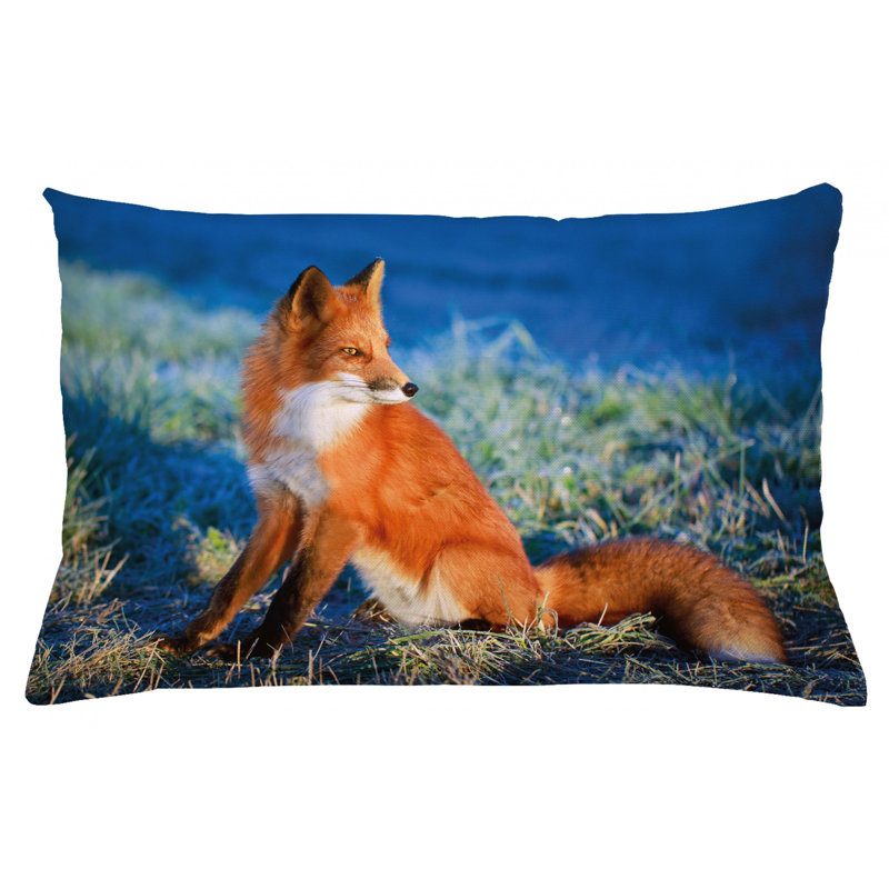 Housse de coussin lombaire intérieur / extérieur Fox, 16 po x 26 po