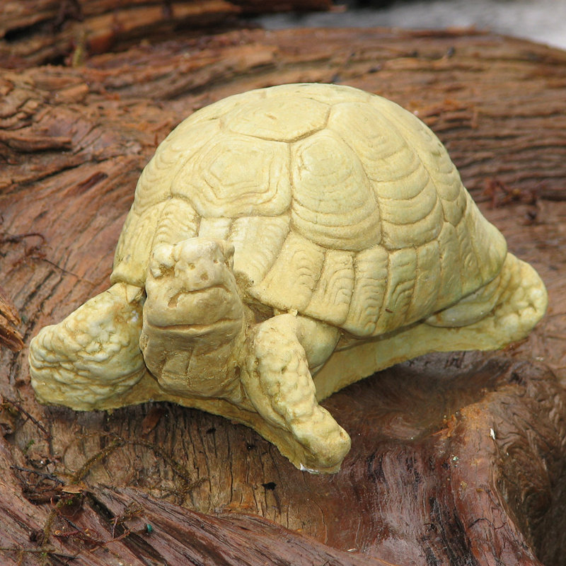 Statue de tortue de boîte, Noyer foncé