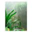 «Rainforest Leaves», reproduction de photo sur toile tendue-31868074