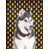 Alaskan (White and Grey)