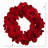 Faux Amaryllis Polyester 22'' Wreath