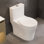 Toilette moderne compacte à une chasse à double chasse avec surface vitrée et siège à hauteur de siège confortable (siège inclus)