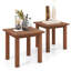 Allisia End Table