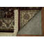 Tapis oriental traditionnel richement conçu 4 x 6