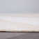 Minford Floral Beige/Gray Indoor&Outdoor Area Rug