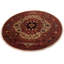 Kennetra Oriental Area Rug in Orange