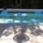 Alfreda 2 - Person Metal Patio Dining Set with Round Table-1876519303
