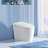 Smart Toilet