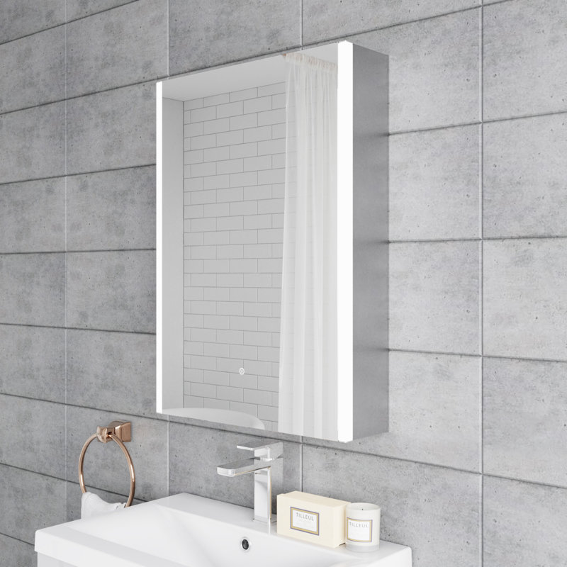 Mirror Cabinets 1270mm W 1778mm H Surface Medicine Cabinet Mirror 2 Fixed