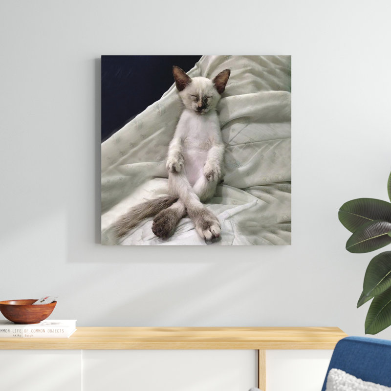 Cat Yoga II, H 30 po x l 30 po